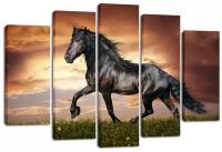 Модульная картина Лошадь черная 140х80 см