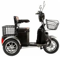 Электротрицикл Rutrike S1 V2 с большой корзиной 10" 2019 (Цвет: зеленый)