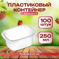 Контейнер одноразовый с крышкой для продуктов 250мл, 100шт