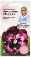 Виола Фриззл Сиззл Малина 10 шт / фиалка трехцветная / анютины глазки / семена многолетних и однолетних цветов для балкона и сада