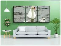 Набор модулных постеров для интерьера "Молодые животные, лебедь, мальчик-лебедь" 60x90 см. в тубусе, без рамки