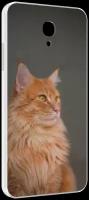 Чехол MyPads кошка мейн кун 1 для Lenovo Vibe P2 5.5 (P2a42) задняя-панель-накладка-бампер