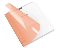 ErichKrause Тетрадь Классика CoverPrо Neon 012015254, клетка, 12 л., 12 шт., оранжевый