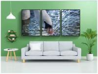 Набор модулных постеров для интерьера "Лебедь, вода, птица" 60x90 см. в тубусе, без рамки