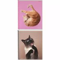 Проф-Пресс Тетрадь 48 листов в клетку на гребне "Такие смешные кошки", обложка мелованный картон, микс