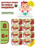 Пюре мясное для детского питания из мяса индейки 100гр х 8 шт