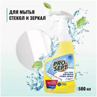 Средство для мытья стекол и зеркал Prosept Optic Shine, с антистатическим эффектом, готовое к применению, 500 мл