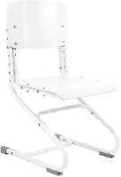Растущий cтул Anatomica Ergo Chair белый/белый