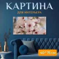 Картина на холсте "Цветы, вишни в цвету, сакура" на подрамнике 75х40 см. для интерьера