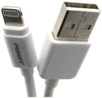 Кабель USB - Lightning (для Apple iPhone) Pisen AL02 (3 м) Белый