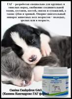 Canina Canhydrox GAG кормовая добавка для собак для поддержания функций опорно-двигательного аппарата 100 гр (1 шт)