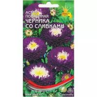 "Астра помпонная Черника со сливками, 100 семян"