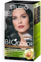 Комплект BIOCOLOR для окрашивания волос STUDIO PROFESSIONAL 1.0 черный 2*50+15 мл