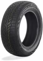 Шины зимние DoubleStar DW08 195/65 R15 91 T