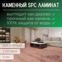 SPC ламинат Evofloor Home - Oak Mountain (Дуб Горный)