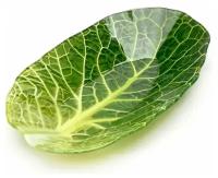 Салатник Leaf Lettuce, 16x26см