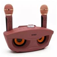 SDRD SD-306 - bluetooth колонка-караоке с беспроводными микрофонами (Розовый)