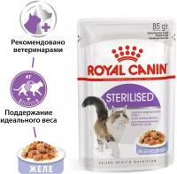 Влажный корм желе для кошек Royal Canin Sterilised (Стерилайзд) для стерилизованных кошек в возрасте от 1 до 7 лет, 24x0.085кг