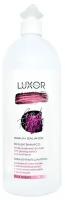 Шампунь для жирной кожи головы и сухих кончиков Luxor Professional Sebum Balance Bivalent Shampoo 1000 мл
