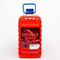 Bonix Моющее средство для мытья посуды Bonix, лесные ягоды 5 л