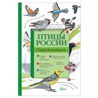 Мосалов А.А., Волцит П.М. "Птицы России. Определитель"