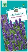 Лаванда узколистная Вознесенская 34 (0,05 г), 2 пакета