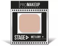 PROMAKEUP STAGE Пудра 2 в 1 тон S13 розово-бежевый/ холодный