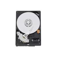 Жесткий диск Western Digital RE3 320 Гб (WD3202ABYS)