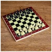 Настольная игра 3 в 1 "Карнал": нарды, шахматы, шашки, доска 20.5 х 20.5 см 273155