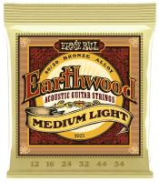 Струны для акустической гитары ERNIE BALL 2003 Earthwood 80/20 Bronze Medium Light 12-54