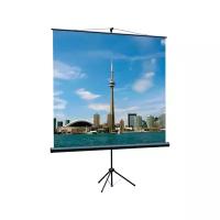 Рулонный матовый белый экран Lumien Eco View LEV-100108, 109", белый