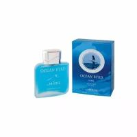 Positive Parfum Ocean Byrd туалетная вода 100 мл для мужчин