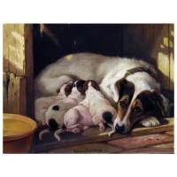 Постер на холсте Собака и щенки (Dog and Puppy) №1 66см. x 50см
