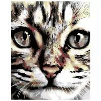 Портрет кота Раскраска картина по номерам на холсте