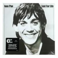 Виниловая пластинка Iggy Pop. Lust For Life (LP)