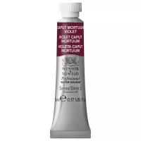 Акварель Winsor&Newton Акварель Winsor&Newton PROFESSIONAL туба 5мл, капут-мортуум фиолетовый