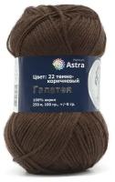 Пряжа для вязания Astra Premium 'Галатея', 100 г, 250 м (100% акрил) (22 темно-коричневый), 3 мотка
