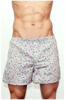 Мужские трусы-шорты светло-серые с принтом Romeo Rossi Spring Meadow Shorts RR00312 M (46)