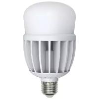 Volpe Лампа LED сверхмощная (10810) E27 30W (260W) 3000K M80 LED-M80-30W/WW/E27/FR/S