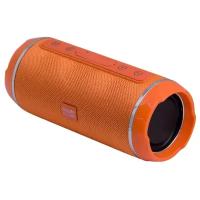 Колонка Belsis Accord Orange SK1018OE