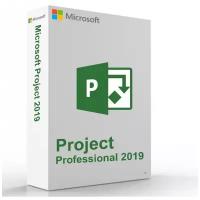 Microsoft Project 2019 Professional