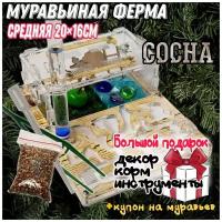 Средняя муравьиная ферма Люкс 20х16 с запирающейся крышкой