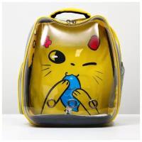 Рюкзак для переноски животных Пижон "Котик", прозрачный, 34х25х40 см, желтый
