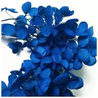 Стабилизированные цветы Гортензии (синие), Epoxy Master