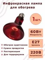 Лампа Инфракрасная для курятника икзк 60W E27 230-60 R63, 1 шт