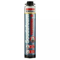 Пена монтажная Soudal Professional 60 профессиональная зимняя 750 мл