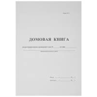 Домовая книга (поквартирная) 16 листов