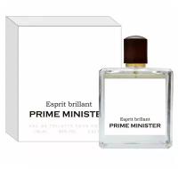 Prime Minister Туалетная вода для мужчин Esprit Brillant (Блестящий ум) шипровый, 100 мл