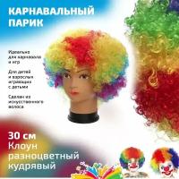 Парик клоуна кудрявый разноцветный