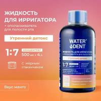 Waterdent Жидкость для ирригатора WATERDENT Утренний Детокс